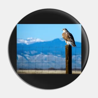 Ferruginous Hawk Pin