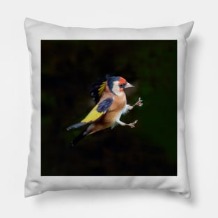 European goldfinch (Carduelis carduelis) Pillow