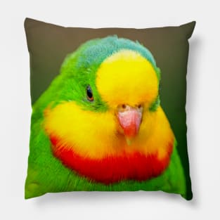 Superb Parrot Pillow