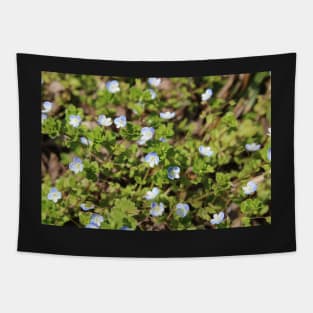 Tiny Blue Flower Meadow Tapestry