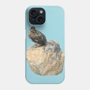 Fledgling on a Rock Phone Case