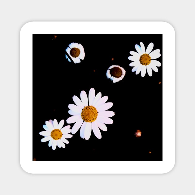 White And Yellow Flowers In Dark Theme Magnet by Formoon