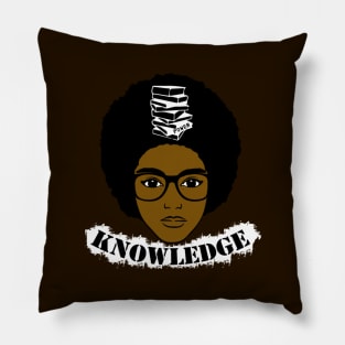 Knowledge Pillow