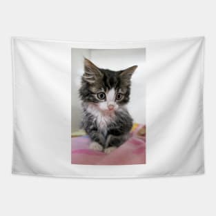 Itty Bitty Cutie Kitty Tapestry