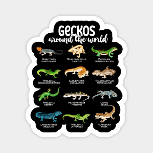 Geckos around the world - Types of Geckos Magnet