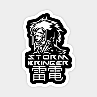 Raiden - Metal Gear Rising Magnet