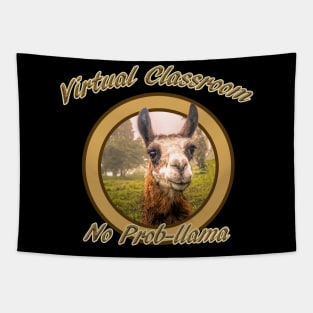 Virtual Classroom No Problem,Prob-llama Tapestry