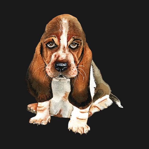 Basset Hound by FUNNY LIFE