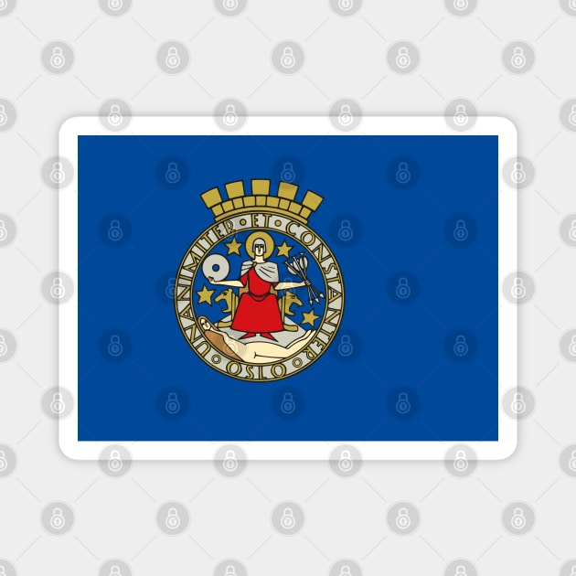 Flag of Oslo, Norway Magnet by brigadeiro