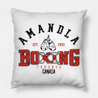 World Amandla 9.0 Pillow