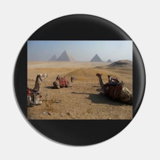 Camels & Pyramids Pin