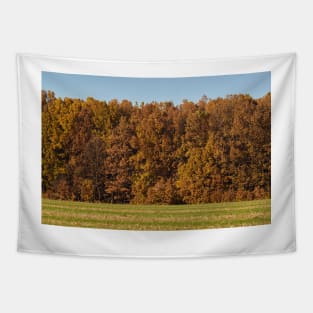 Oak forest in the autumn Tapestry