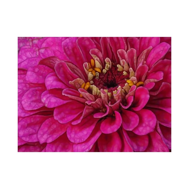 zinnia flower bloom in pink floral fantasy by mister-john