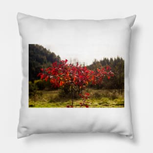 klb maple red Pillow