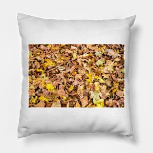 Autumn Leaves! Pillow