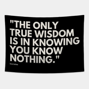 "The only true wisdom is in knowing you know nothing." - Socrates Inspirational Quote Tapestry