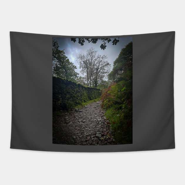 Lake District Bridleway Tapestry by Graz-Photos