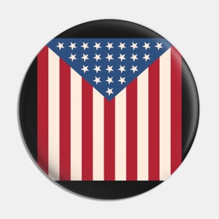 Draped in stars and stripes Pin