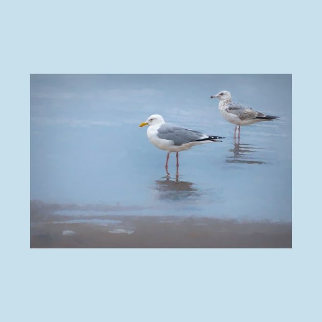 Seagulls At Boca Chica Beach by Debra Martz