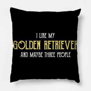 Funny I Like My Golden Retriever Gift Pillow