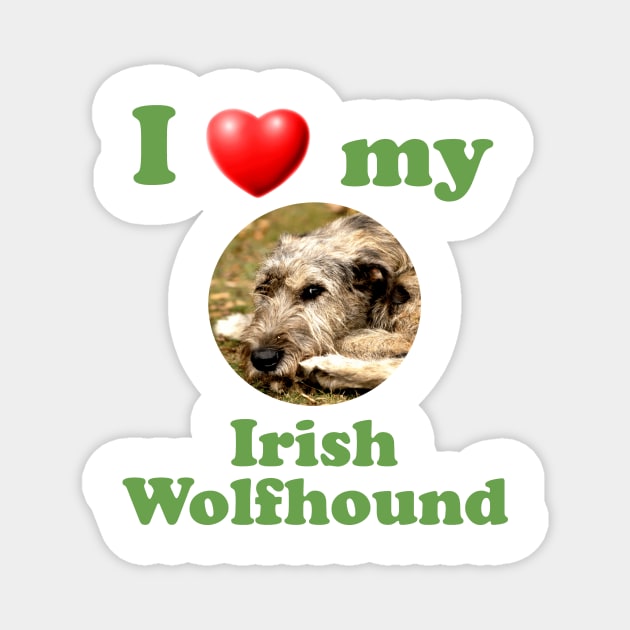 I Love My Irish Wolfhound Magnet by Naves