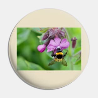 English Wild Flowers - Red Campion with bee Pin