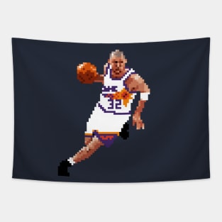 Jason Kidd Pixel Dribble Tapestry