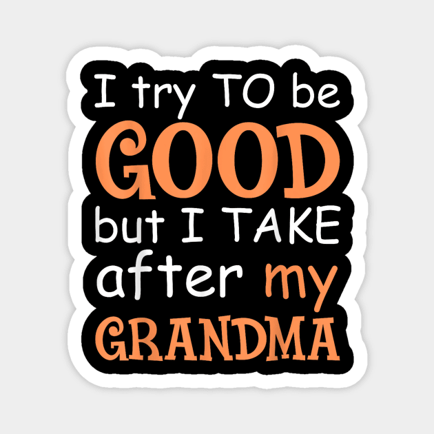 I try to be good but i take efter my grandma Magnet by WILLER