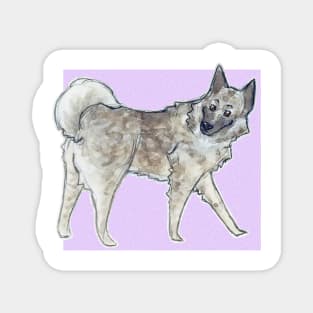 Norwegian elkhound Magnet