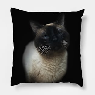 Blue-eyed Siamese cat Pillow