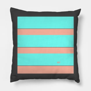 COLOR COUPLES TURQUOISE AND FLORIDA PEACH Pillow