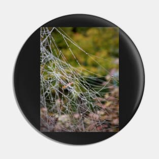 A wet spiderweb Pin