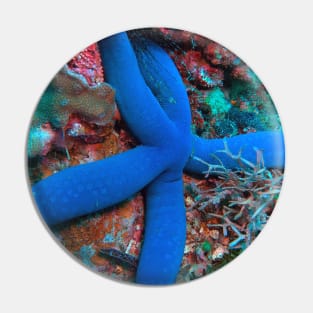 Sea Star Pin