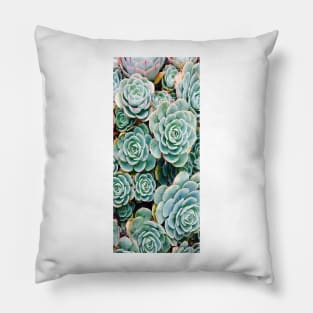 Green Succulent Close Up Pillow