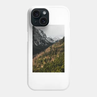 Mountain valley Phone Case