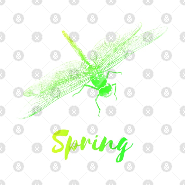 Spring Dragonfly by serre7@hotmail.fr