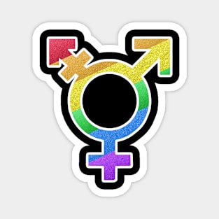 Rainbow Transgender Symbol Magnet