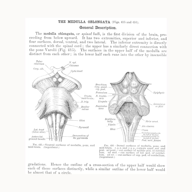 Antinque Med School Papers Neck Gaiter Medulla Oblongata by DANPUBLIC