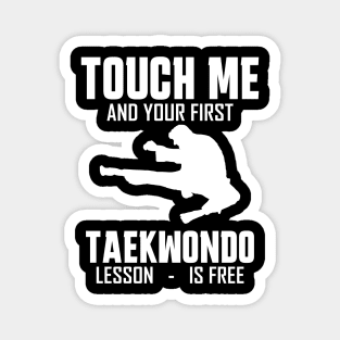 taekwondo Magnet