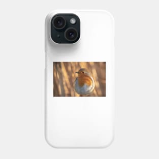 Robin dreams Phone Case