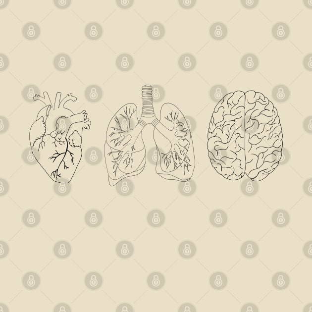 Anatomy heart brain, lung by Carries Design 