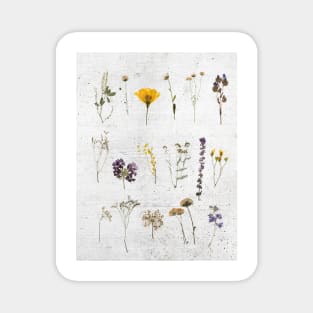 Dried Flower Collage Magnet