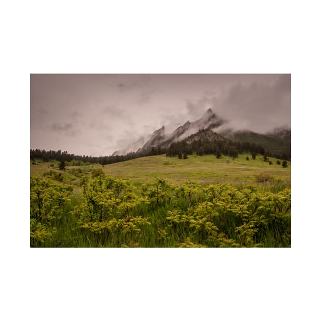 Flatiron Storm by nikongreg