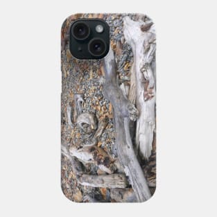 Driftwood on the shore Phone Case