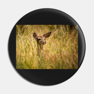 Doe Looks on From Grasses Pin