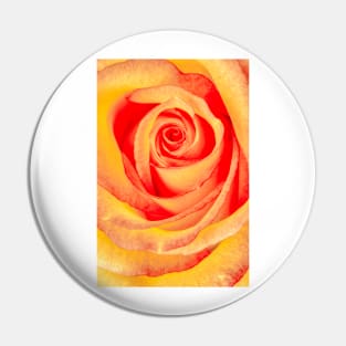 Rose Labyrinth Pin