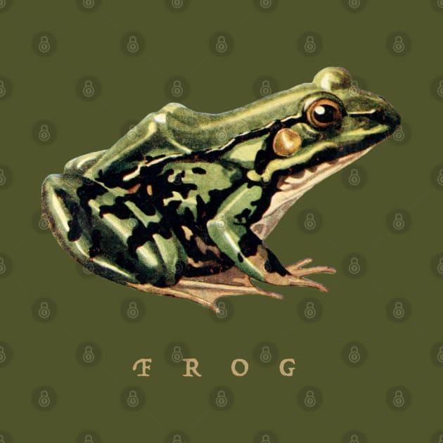 Cottagecore Frog: Celebrating the Charm of Nature and Goblincore Aesthetics by Ministry Of Frogs