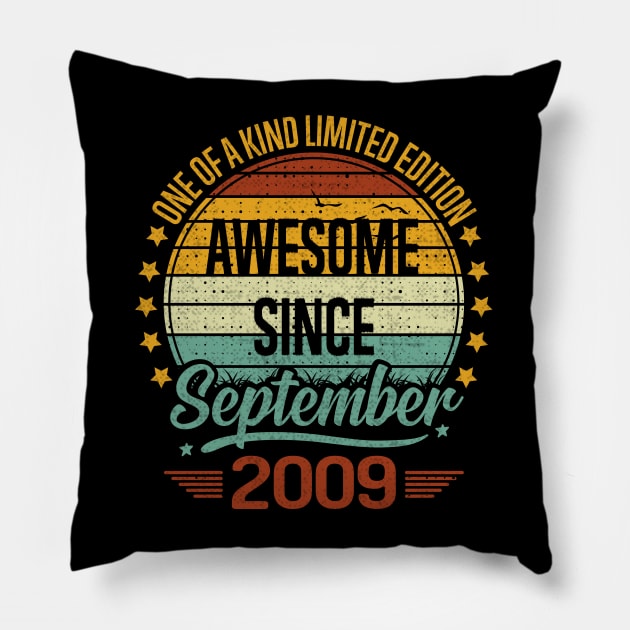 13 Year Old 13th Birthday Design for September 2009 born Limited Edition Legend BDay Gift Pillow by sufian