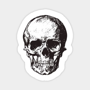 Skull Sketch Magnet