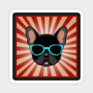 Black Frenchie Dog Wearing Blue Sunglasses Funny French Bulldog Magnet